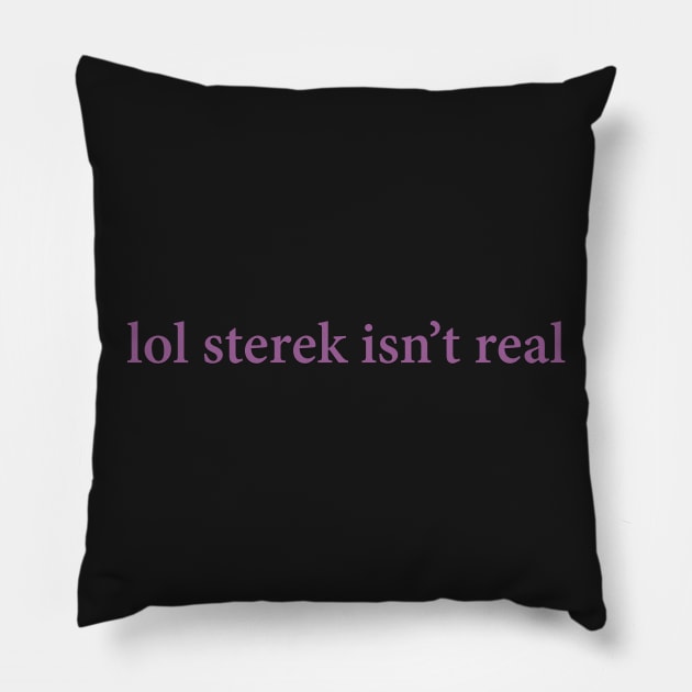 lol sterek isn't real Pillow by sassybanshee