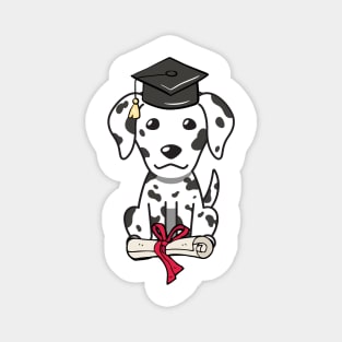 Funny dalmatian is graduating Magnet