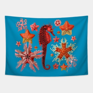 RED SEAHORSE AND SEASTARS IN AQUA BLUE Sea Life Tapestry