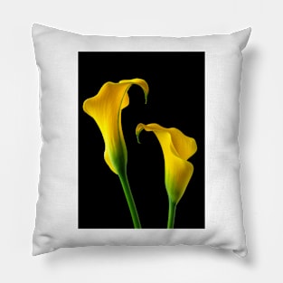 Two Stunning Yellow Calla Lillies Pillow