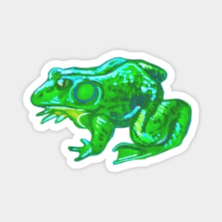 Bullfrog Magnet