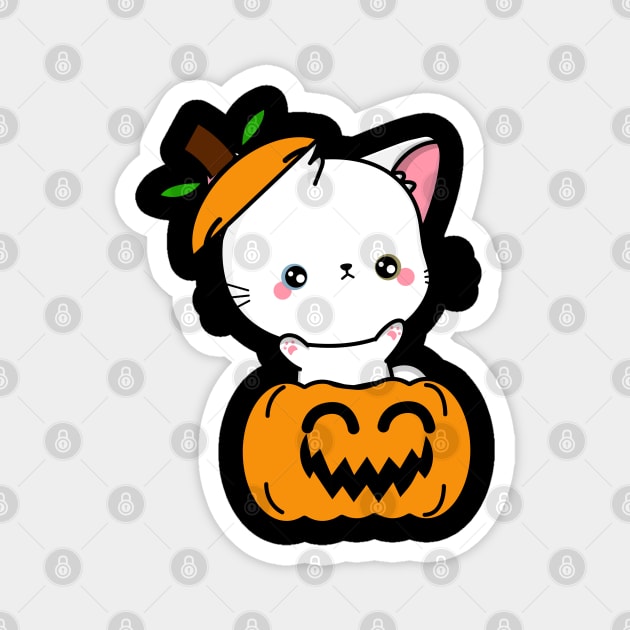 Funny angora cat is in a pumpkin Magnet by Pet Station