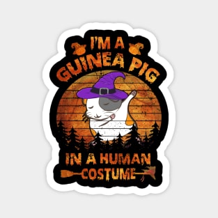 Guinea Pig Halloween Costumes (45) Magnet