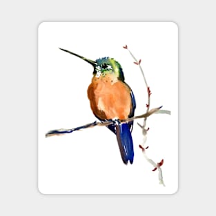 Cinnamon Hummingbird Magnet