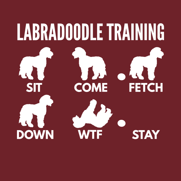 Labradoodle Training Labradoodle Dog Tricks by DoggyStyles