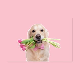 Dachshund puppy dog with spring pink tulip flowers. T-Shirt