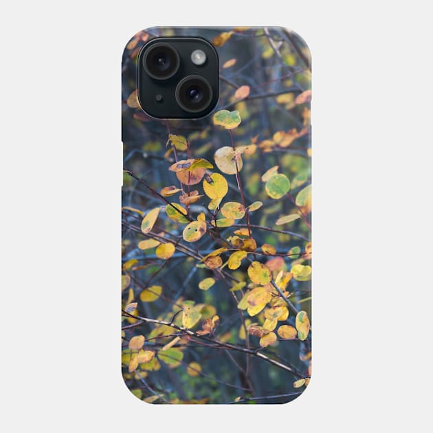 Little Autumn Leaves and Branches Phone Case by Amy-K-Mitchell