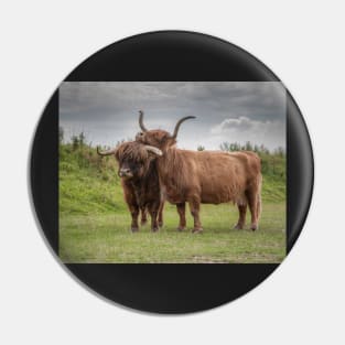 Highland Cows Pin