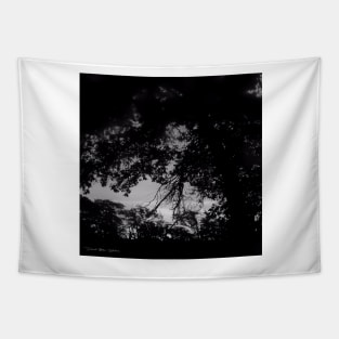 Texas Fall Sunset - Black and White Tapestry