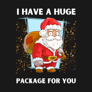 I Have A Huge Package For You Christmas T-Shirt