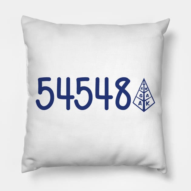 Camp Agawak Zip Code Pillow by hcohen2000