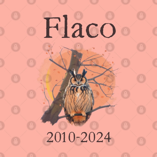 Flaco 2010-2024 by WickedAngel