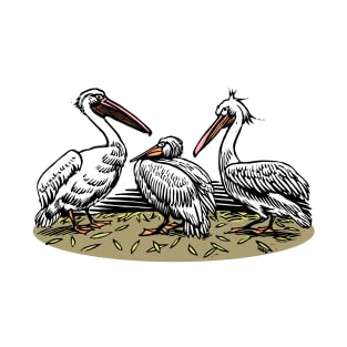 Three Pelicans T-Shirt