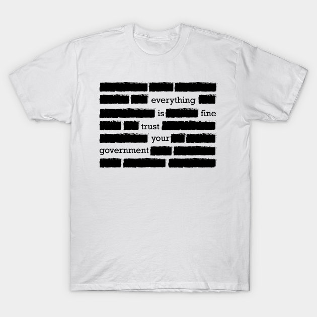 conspiracy theory trust your government funny gift - Conspiracy Theory - T-Shirt