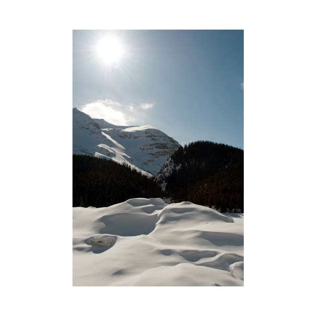 Canadian Rocky Mountains Icefields Parkway Canada by AndyEvansPhotos