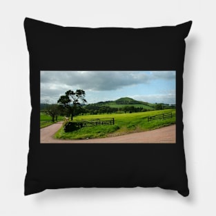 Law Hill, Quothquan. Pillow