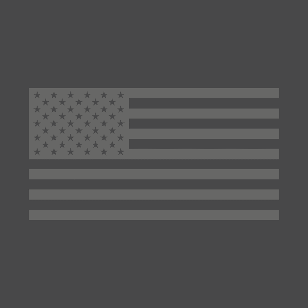 American Flag by MetaModern