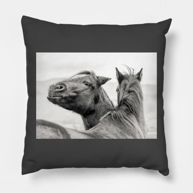 Funny Smiling Ranch Horse Pillow by Amy-K-Mitchell