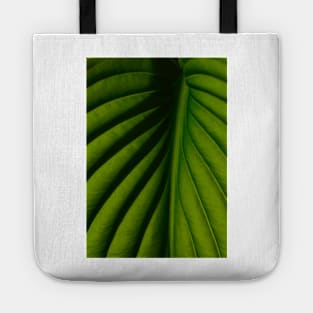 The Veins of Life Tote