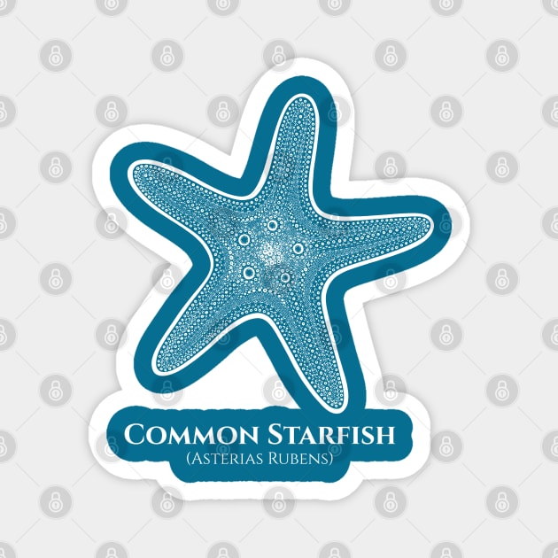 Common Starfish with Common and Scientific Names - marine design Magnet by Green Paladin