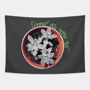 Succulent Grow as you go Green Tapestry