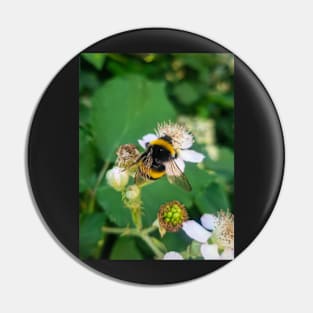 Bumblebee Pin