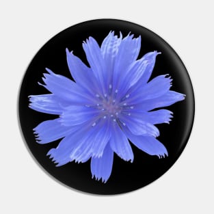 Blue Chicory Flower Pin