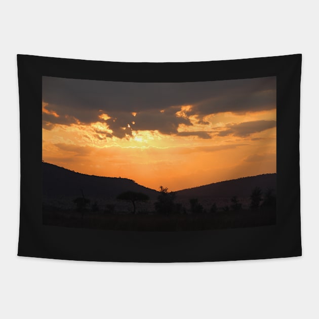 Dry Season Sunset, Serengeti National Park, Tanzania Tapestry by Carole-Anne