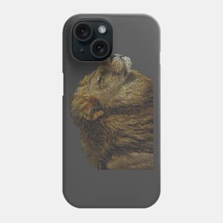 Lion Info Graphic Phone Case