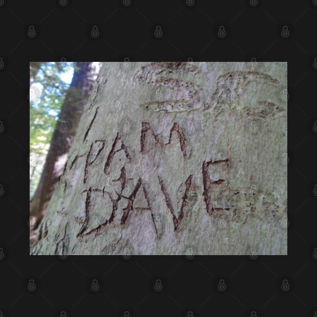 Love Signs: Pam and Dave by Mzzart