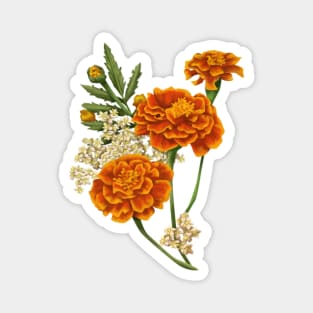 Marigold Magnet