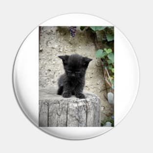 Little black cat Pin