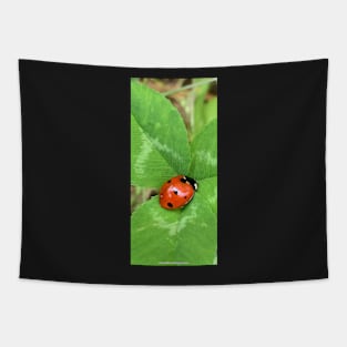 Ladybug Tapestry