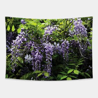 Clusters of Wisteria Tapestry