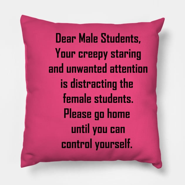 Dear Male Student Pillow by ProgressiveAction