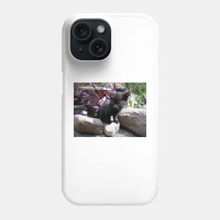 a little cheeky black cat. Phone Case