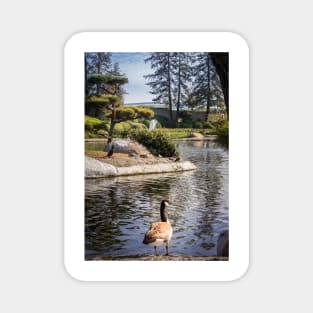 Japanese Garden Woodley Park California 3 Magnet