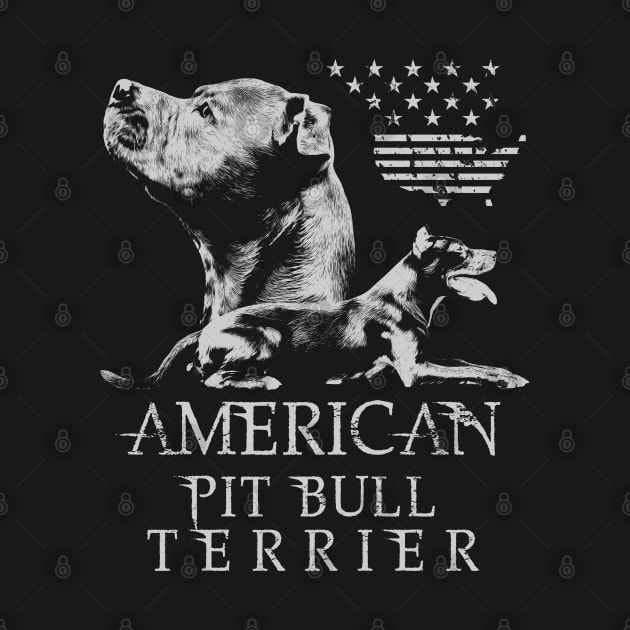 American Pit Bull Terrier - APBT by Nartissima