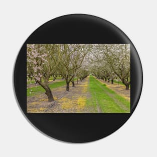 Almond Blossoms Pin