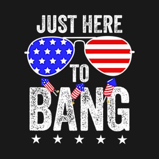 Funny 4th of July I'm Just Here To Bang USA Flag Sunglasses T-Shirt