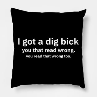 I got a dig bick Pillow