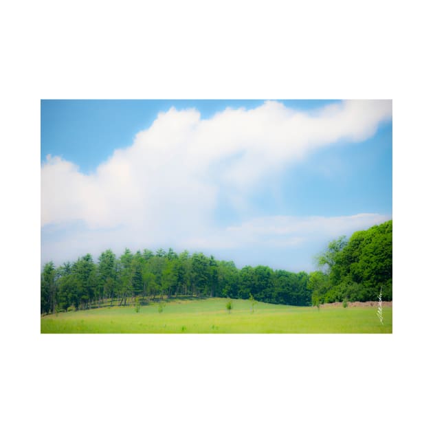 Summer Day at Shelburne Farms, Vermont by srwdesign