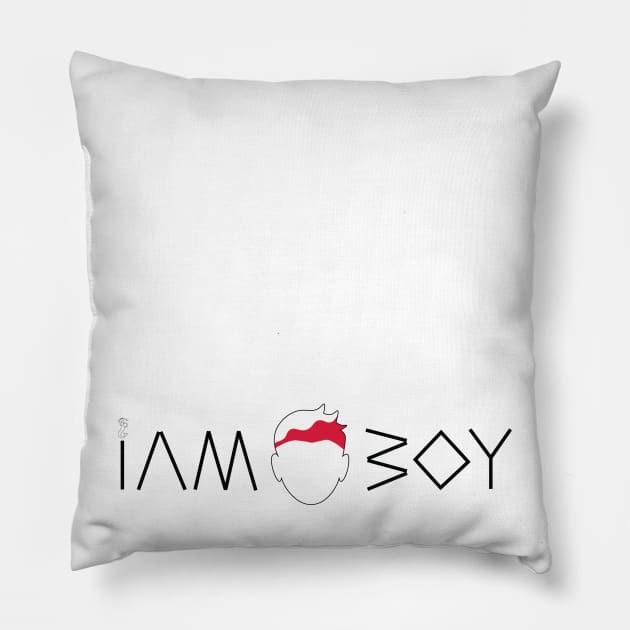 I am a Polish boy Pillow by TandB