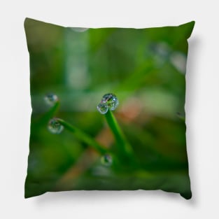 Morning Dew On The Grass Pillow
