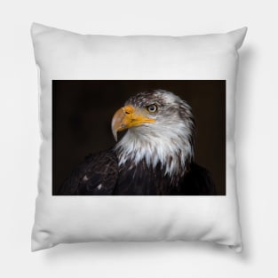 Caged Eagle Pillow