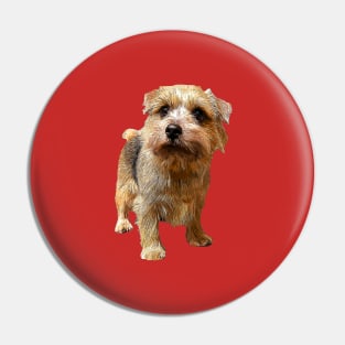 Norfolk Terrier Pin