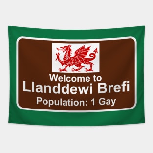 Welcome to Llanddewi Brefi - Population 1 Gay Tapestry