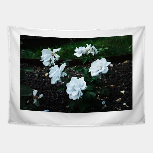 Coloma Garden White roses Tapestry by nastiaart