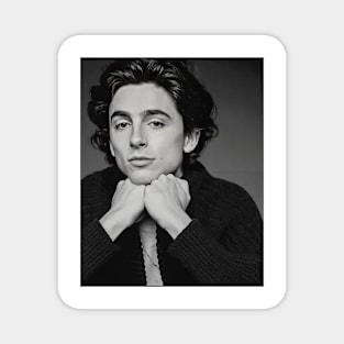 The Promise of Timothée Chalamet Magnet