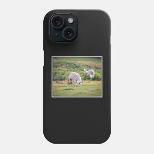 Llamas Phone Case